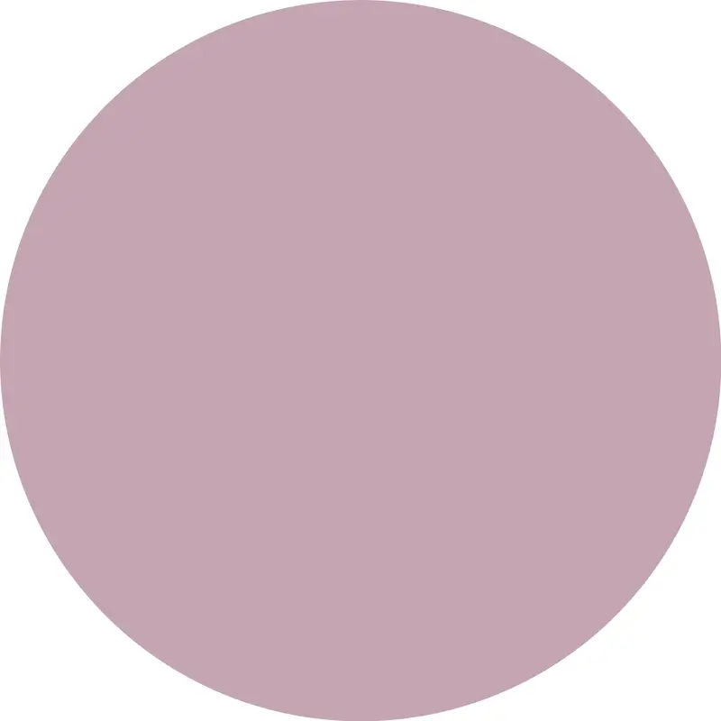 Imagen del producto 8